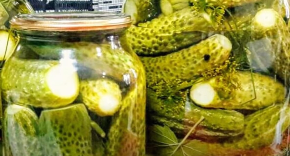 Консервированные хрустящие огурцы на зиму! Простой рецепт очень вкусных консервированных огурцов