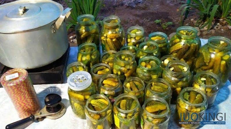 Закрываю по 45 банок и мало. Огурцы на зиму по Таниному рецепту