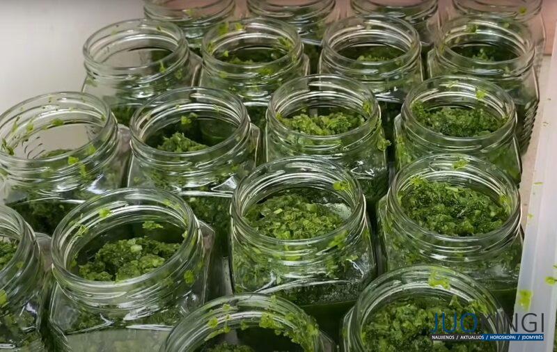 Зеленая аджика без варки на зиму. Удивительно вкусное блюдо: простой рецепт