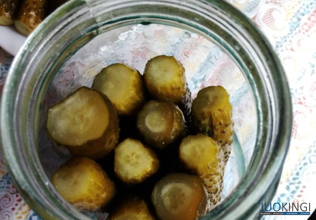 Засолка огурцов в условиях городских квартир. Никогда не взрываются: надежный способ