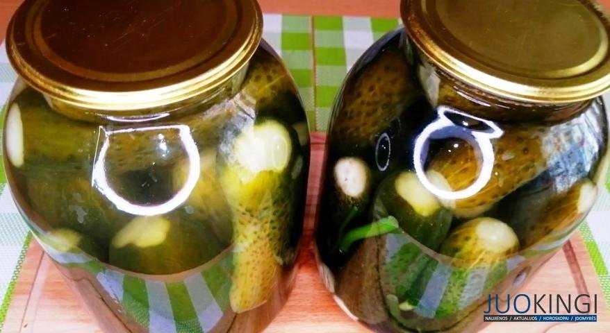 Квашу огурцы на зиму без бочки и подвала. Получаются ядрёные, хрустящие, солёно-кислые: вкусные огурчики как бочковые