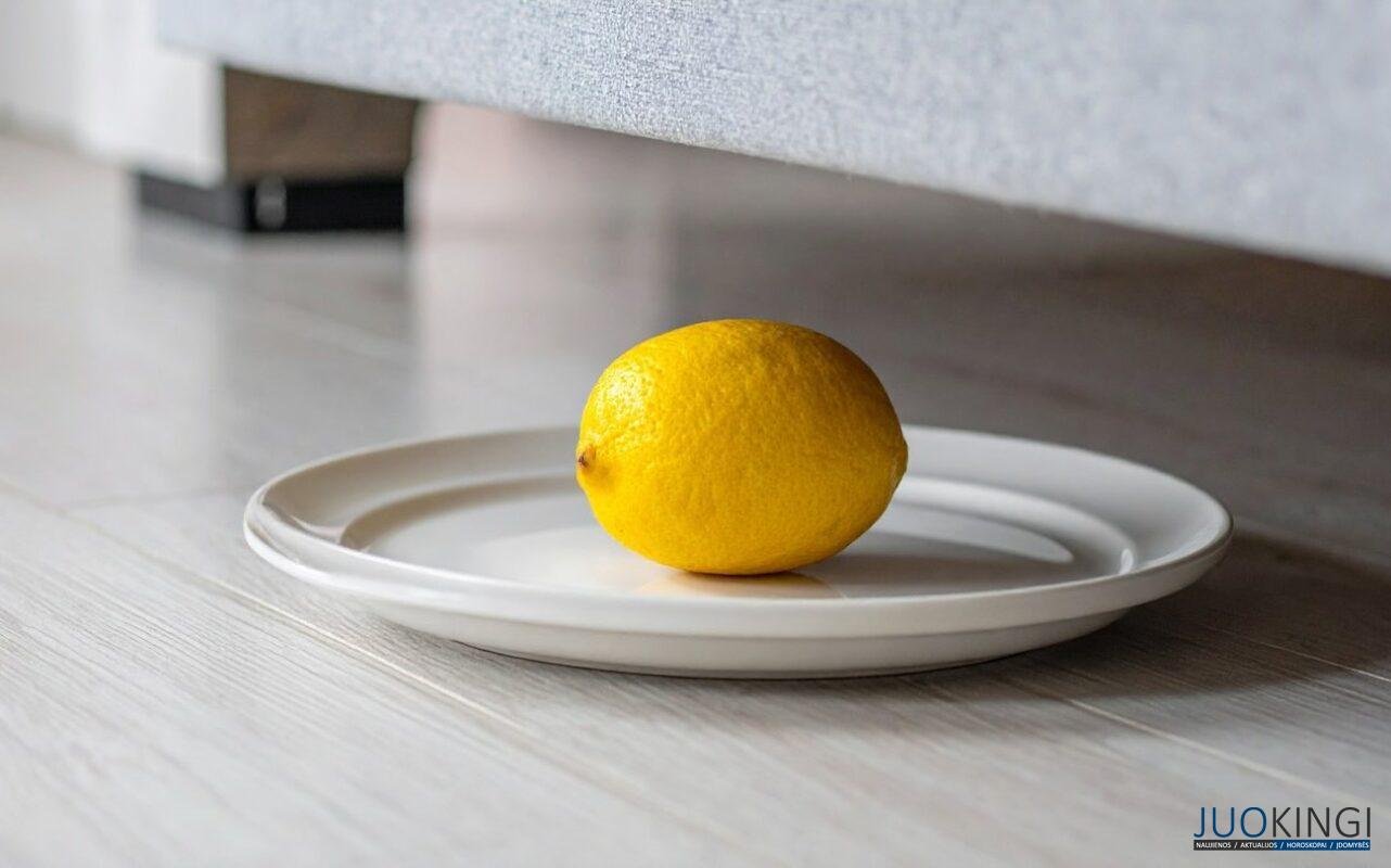 citrina prie lovos nakciai