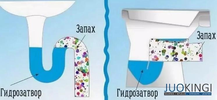 Зачем я заливаю в раковину подсолнечное масло. Спасибо сантехнику за совет
