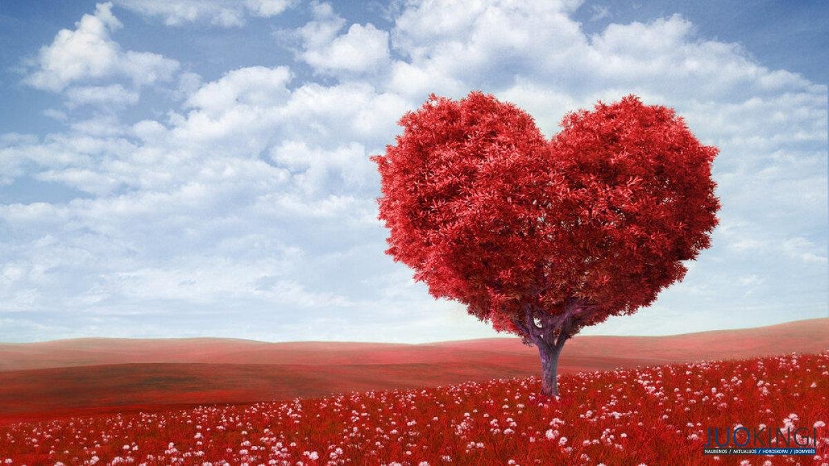 palmiros meilės horoskopas